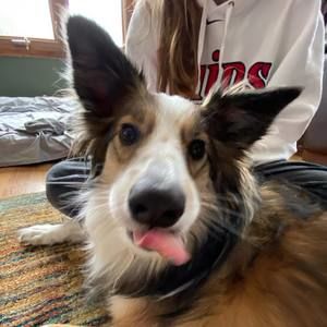 Meet your Posher, Gavin